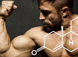 Testosterone and muscle mass gain