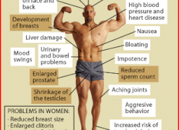 How do steroids work in the human body?