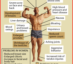 How do steroids work in the human body?